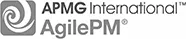 AgilePM, APMG International